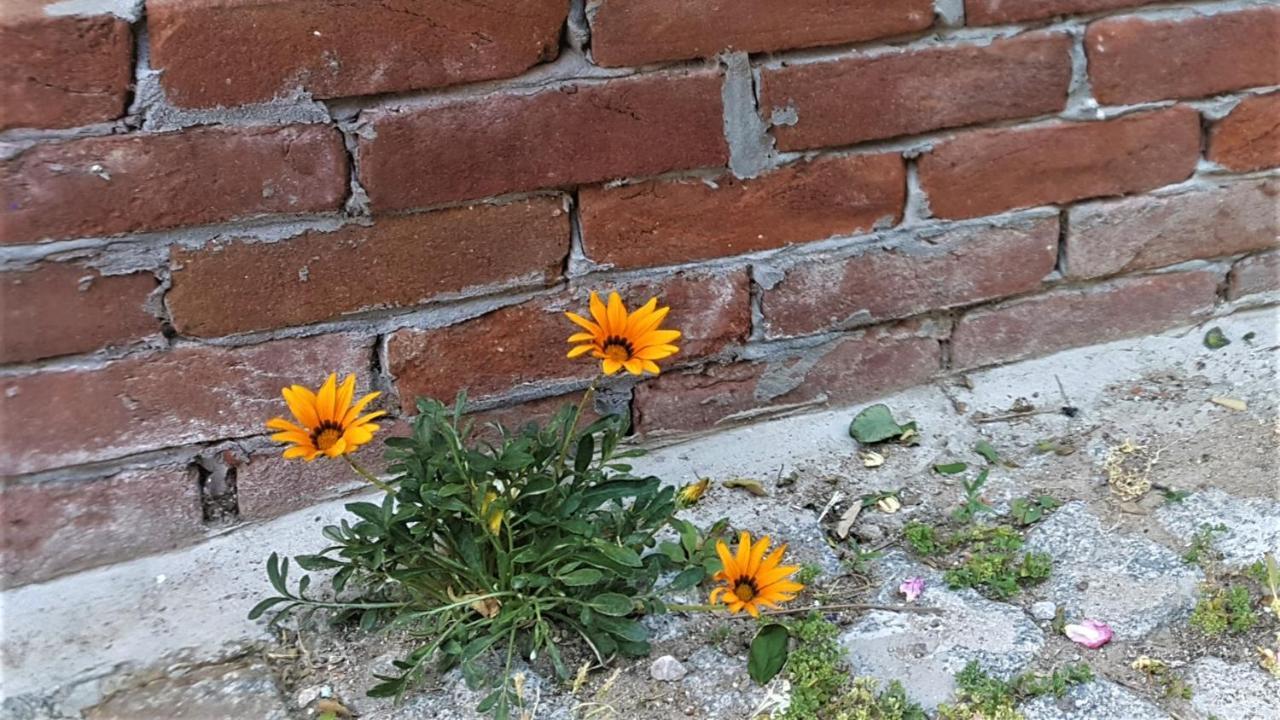 Melekler Pansiyon Ayvalı 외부 사진